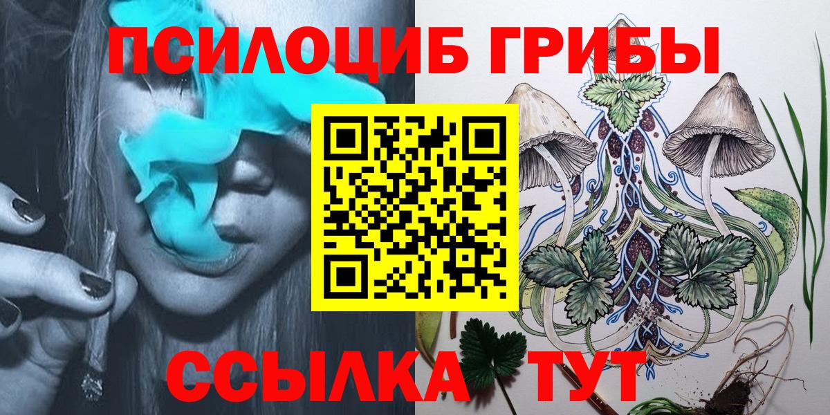 Воскресенск  Псилоцибиновые грибы Cubensis  Вход с VPN 