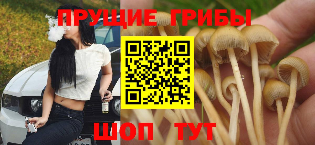 Псилоцибиновые грибы мицелий Воскресенск
